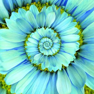 Spiritual Living Courses: The Easy Way Discourses